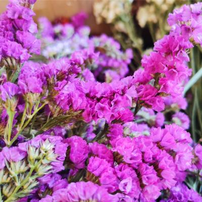 China Wedding decoration forget-me-not eternal flower dry flower arrangement flower decoration home furniture for sale