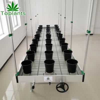 China Greenhouse Movable Rolling Bench Elevate Tray Ebb And Flow Tray For Hydroponics System Deeper Deepth for sale