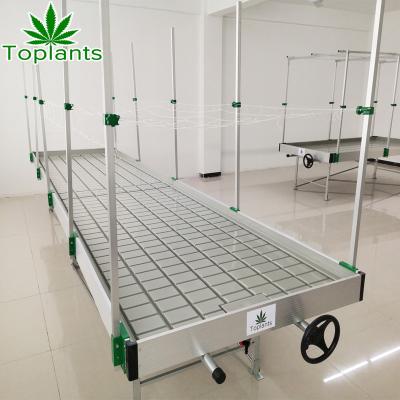 China Mobile Products Controlling ABS Plastic Ebb And Flood Benches Rolling Trays Wholesale Hydroponic System for sale