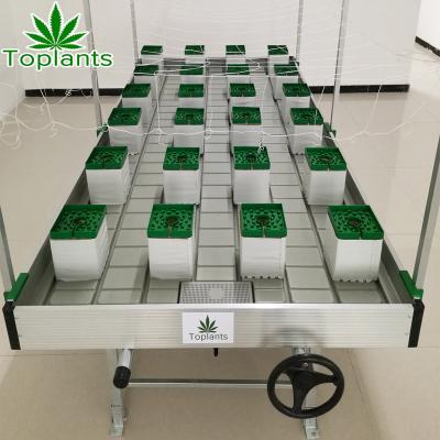 China Large Mobile ABS Plastic Ebb And Flow Tables 4*8ft Flood Rolling Bench In Growing Greenhouse System for sale