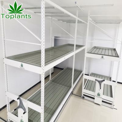 China Mobile Multi Level Vertical Ebb And Flow Benches Flood Rack Table System For Medicinal Plants for sale