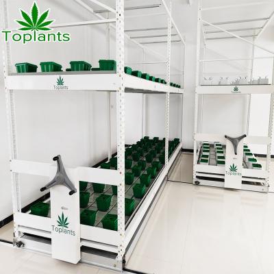 China Movable Multi Level Elevate Rack System Vertical Rolling Benches With Tray For Medicinal Plants for sale