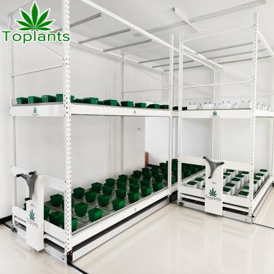 China Greenhouse Movable Plastic Rolling Benches Tray Flow Vertical Ebb And Flood Table for sale