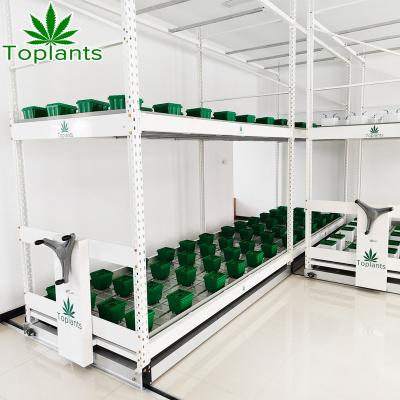 China Movable Flood And Drain Table 4x8 Vertical Rolling Multi Level Long Planting Elevate Rack System With Tray for sale