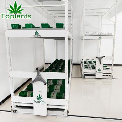 China Moving Ebb and Flow Moving Vertical Grow Racks Multi-Layer Growing Rack for sale