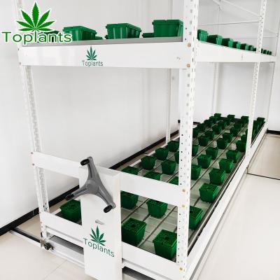 China Movable Mobile Plant Shelf Ascending Racking Elevate Table Rolling Vertical Bench for sale