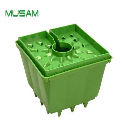 China Modern substrate hydroponics growing pots for trees grow on flood table for sale