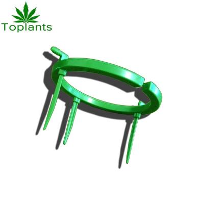 China Medium Irrigation Equipments Irrigation Hydroponic Drip Ring With Hose For Garden for sale