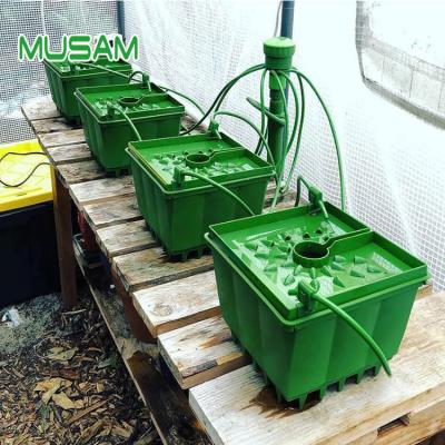 China Modern Hydroponic Caps Plants Plastic Growing Buckets for sale