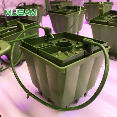 China Modern Hydroponics Grow Substrate Pots Growing Pot For Flood Table for sale