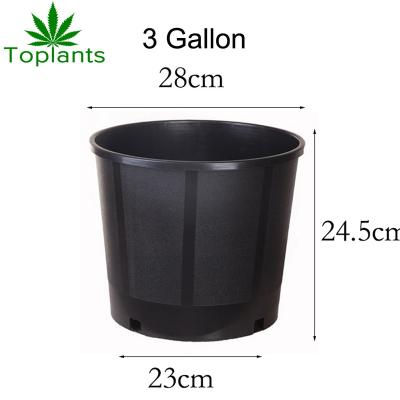 China Cost effective 3 gallon hydroponic pot for growing herbs for sale