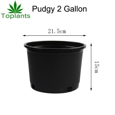 China Cost Effective 2 Gallon Bucket Plant Watercress Nutrition Hard Plastic Plump Pot for sale