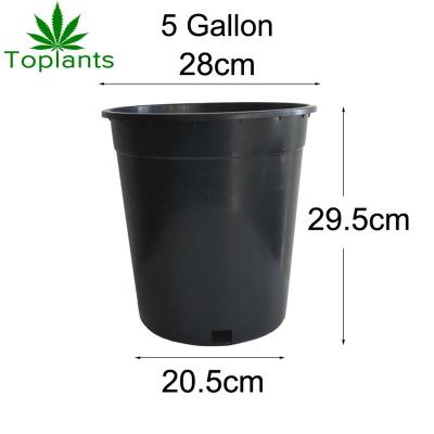 China Cost-effective Wholesale Plastic Soft Flower Seeding 5 Gallon Pot Nursery Plastic Pot for sale