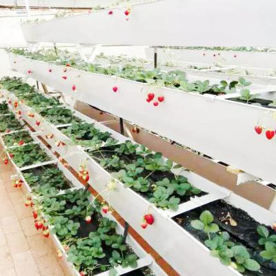 China Stable Structure PVC NFT Channel Gutters For AgriculturalGreenhouse for sale