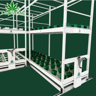 China Microgreen Moving Rolling Benches Hydroponic Vertical Stands For Growing for sale