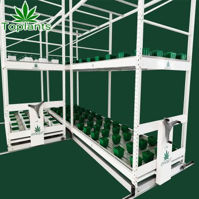 China Mobile Hydroponic Warehouse Seed Growing Rack Tray Racks for sale