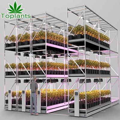 China Mobile Commercial American Plants Elevating System Vertical Cultivating Rack for sale