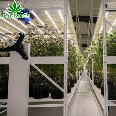 China Toplants Movable Hydroponic Movable Beams Vertical Growing Racks For Clones Room for sale