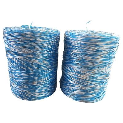 China Factory price 2mm white blue yellow black 3mm high strength pp rope high tensile polypropylene baler twine for agriculture for sale