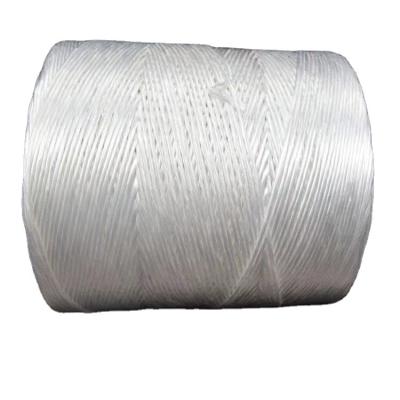 China Agriculture Agriculture Polypropylene Baler Twine For Packing for sale