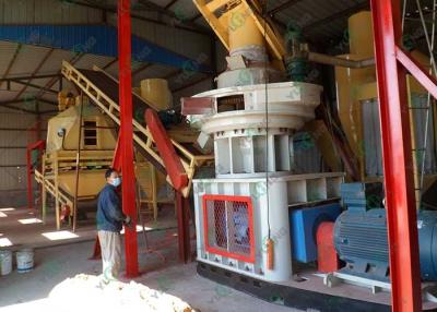 China 220KW Sunflower Seed Pellet Making Machine Wood Pellet Production line for sale