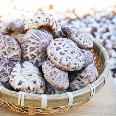 China Dried mushroom flower dried mushroom shiitake dried organic shiitake mushroom for sale