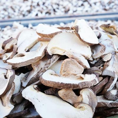 China High Quality Dried Shiitake Mushroom Slices Organic Dried Shiitake Mushroom Slices for sale