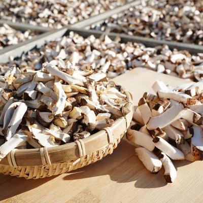 China Wholesale price dried shiitake to spread rare edible organic dry shiitake mushroom for sale