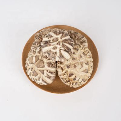 China Dry Dry Shiitake Mushroom Dried Food Shiitake Mushroom High Quality Wholesale Price for sale