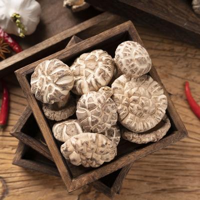 China Dried Blocks Dried Shiitake Mushroom Shiitake Mushroom Spread Rare Edible Mushroom for sale