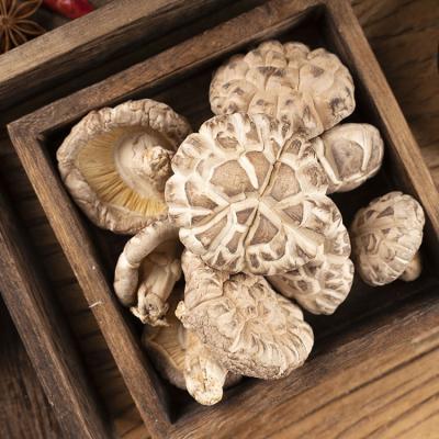 China High quality dried shiitake mushroom for export edible mushroom for sale