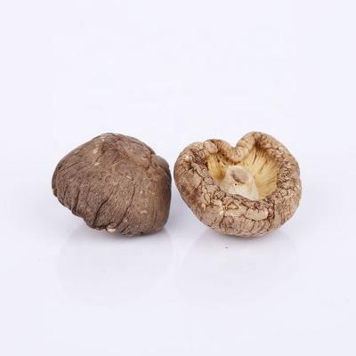 China Best wholesale price dry green 2-3cm high quality organic dry shiitake silver mushroom for sale