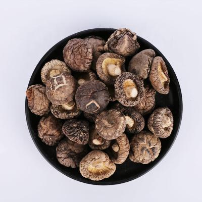 China OEM Factory Wholesale Dried 2-3cm Dried Silver Brown Shiitake Mushroom for sale