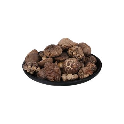 China Funiu Silver Mushroom 2-3cm Dry Goods 250g Dry Shiitake Mushroom for sale