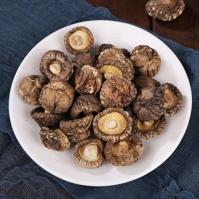 China Georgia Mushrooms Dry Mushroom are Ready Dry Mushroom Magic for sale