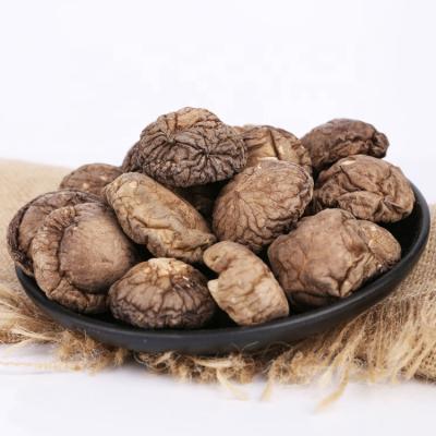 China High Quality Dry Shiitake Mushroom Dried Shiitake Mushroom Brown Shiitake Mushroom for sale