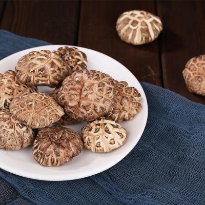 China Funiu Mountain Mushroom Best Price Dried Bulk Shiitake Flower Mushrooms for sale