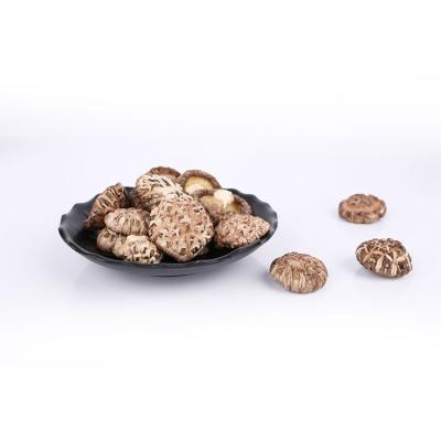 China Green Food Dried Top Quality Flower Mushroom Dried Shiitake Bags Sprinkle for sale