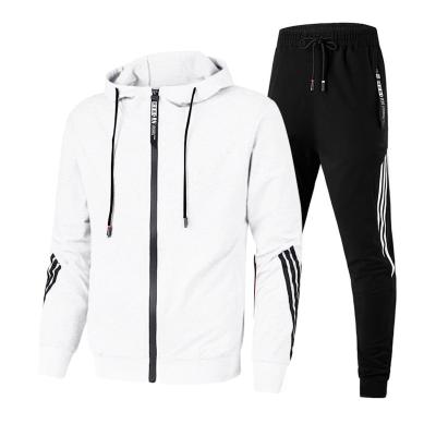 China Hooded Fashion Sportswear Breathable Casual Zipper And Pant Set Men Sweater Two Piece Set for sale