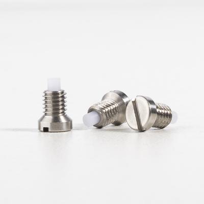 China Slotted Hex 304 Stainless Steel Screw POM PIN Spring Plunger Threaded Pin Plunger for sale