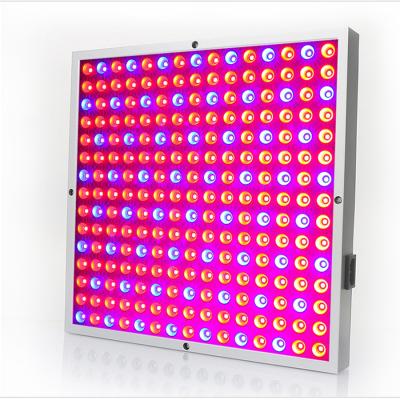 China 12inch 225PCS LED 45w Square Aluminum Greenhouse Grow Lighting AC 220V Indoor Plants Growing Light for sale