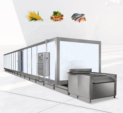 China food & Beverage Factory Vegetables Fruits Tunnel Fluidized Flash Freezer for sale