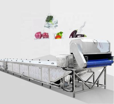 China Fruit Processing Plant Hot Selling Fruit and Vegetable Blanching Machine For Vegetable Processing Automatic Vegetable Blanching Machine for sale