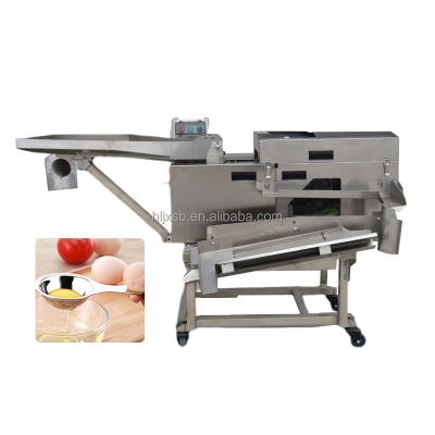 China Commercial Cannery Separating Yolk Separating Whites And Yolk/Egg Separating Machine/Egg Breaker Yolk Separating for sale