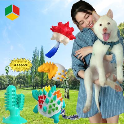 China QS LE KB 2021 New Design Model Viable Hot Aggressive Chew For Big Breed Indestructible Toothbrush Interested 5pcs Toys For Dogs for sale