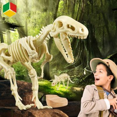 China Hot Selling Dig It Out Dinosaur Toys Dig And Discover Dinosaur Skeleton Kit DIY Amazon TOY QS Hot Sale Excavation For Kids Educational for sale