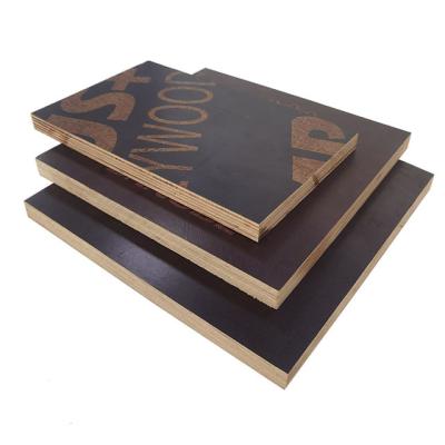 China Modern Guangxi origin 3/4 inch commercial durable eucalyptus wood plywood for construction work reusable for sale