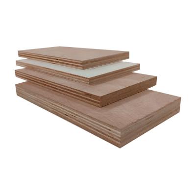 China Raw Material Modern High Quality Eucalyptus Commercial Plywood 4x8 12mm For Wooden Furniture Design OEM for sale