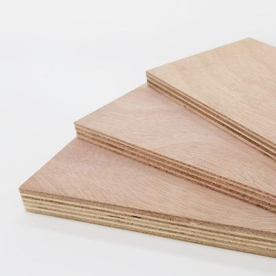 China Factory price modern hardwood concrete plywood 12mm 15mm 18mm 1220mm*2440mm for construction reusable formwork for sale