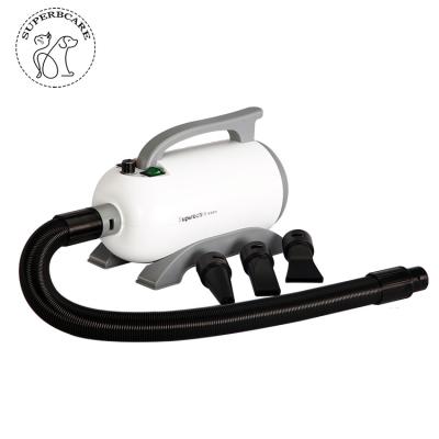 China Maintenance Product 1800W Sustainable Adjustable Wind Dog Pet Hair Dryer for sale